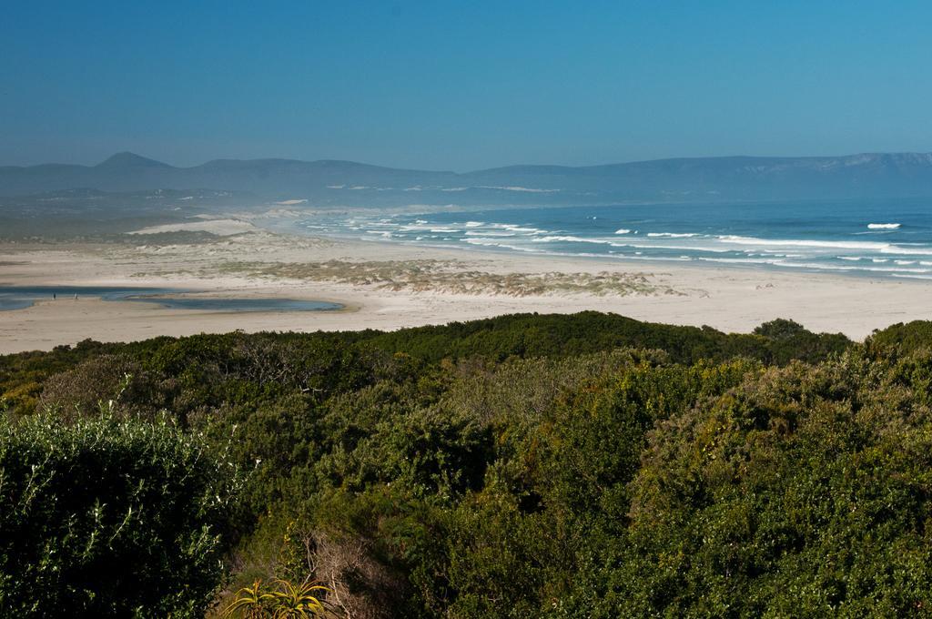 Mosselberg On Grotto Beach Hermanus Kültér fotó