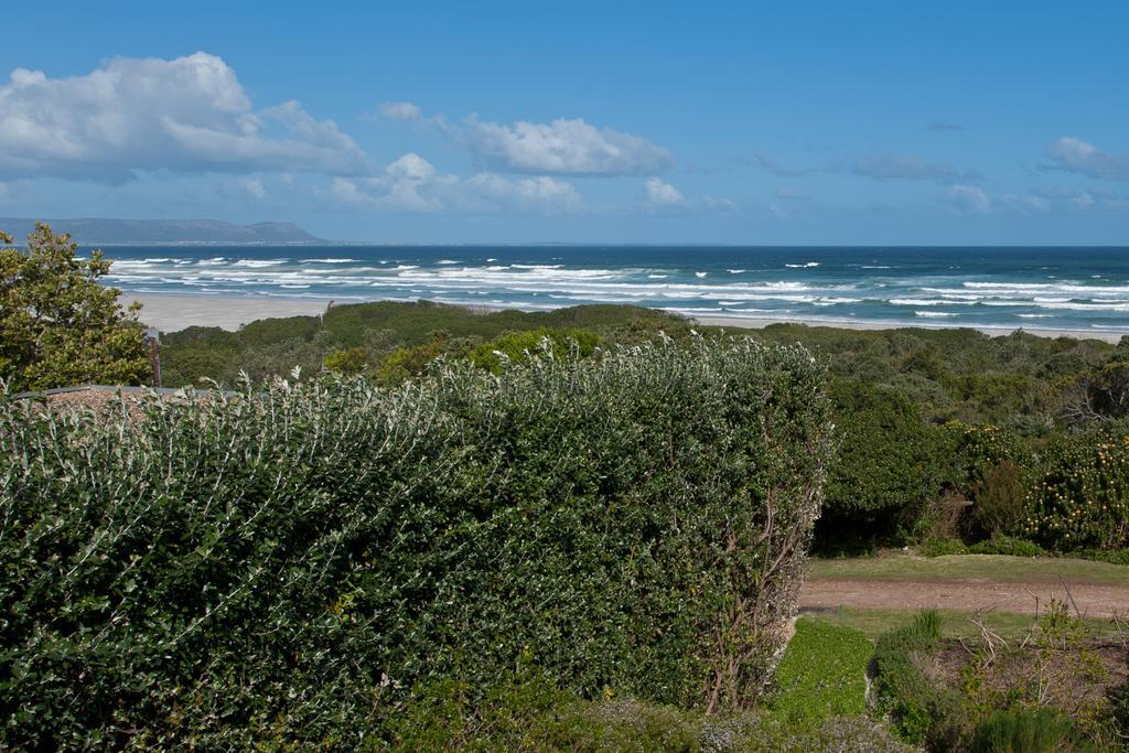 Mosselberg On Grotto Beach Hermanus Kültér fotó
